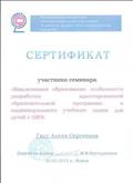 "Инклюзивное образование: особенности разработки адаптированной образовательной программы и индивидуального учебного плана для детей с ОВЗ". "Инклюзивное образование: особенности разработки адаптированной образовательной программы и индивидуального учебного плана для детей с ОВЗ".