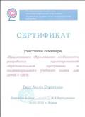 "Инклюзивное образование: особенности разработки адаптированной образовательной программы и индивидуального учебного плана для детей с ОВЗ".